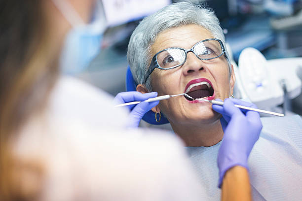 Trusted Carol Stream, IL  Holistic Dental Services Experts